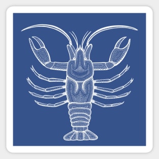 Freshwater Lobster or Crayfish - hand drawn animal design Sticker